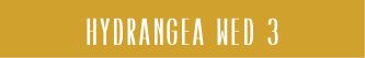HYDRANGEA Wed 3