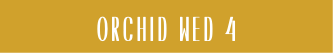 Orchid Wed 4
